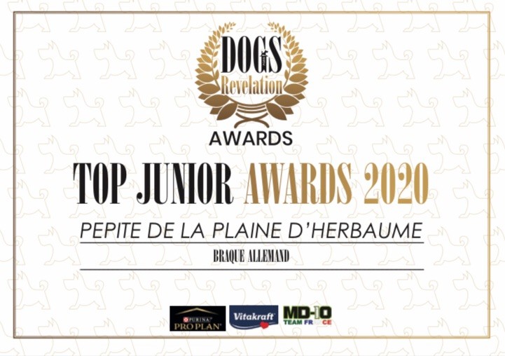 De La Plaine D'herbaumé - Dogs Revelation Awards 2020 !!!