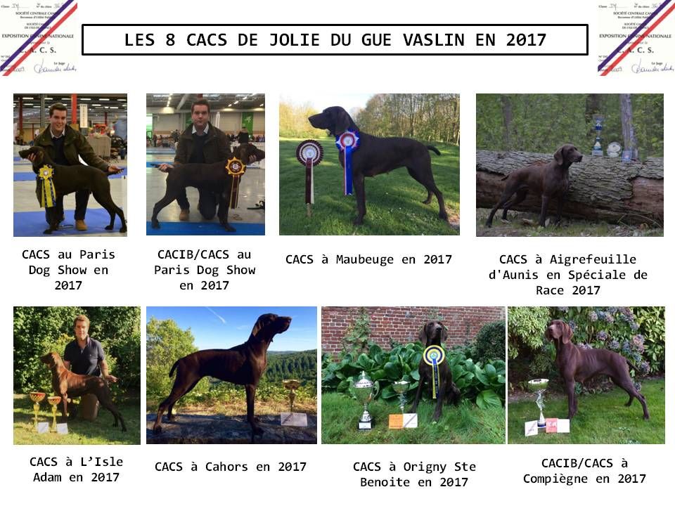 De La Plaine D'herbaumé - 8 CACS EN 2017 !!!