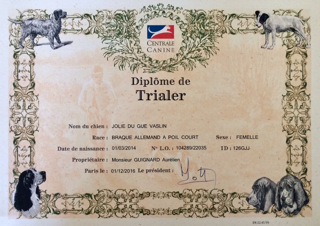 De La Plaine D'herbaumé - Diplôme de Trialer !!!