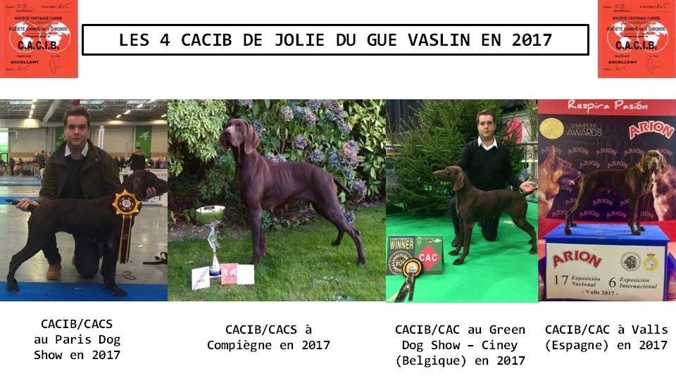 De La Plaine D'herbaumé - 4 CACIB EN 2017 !!!