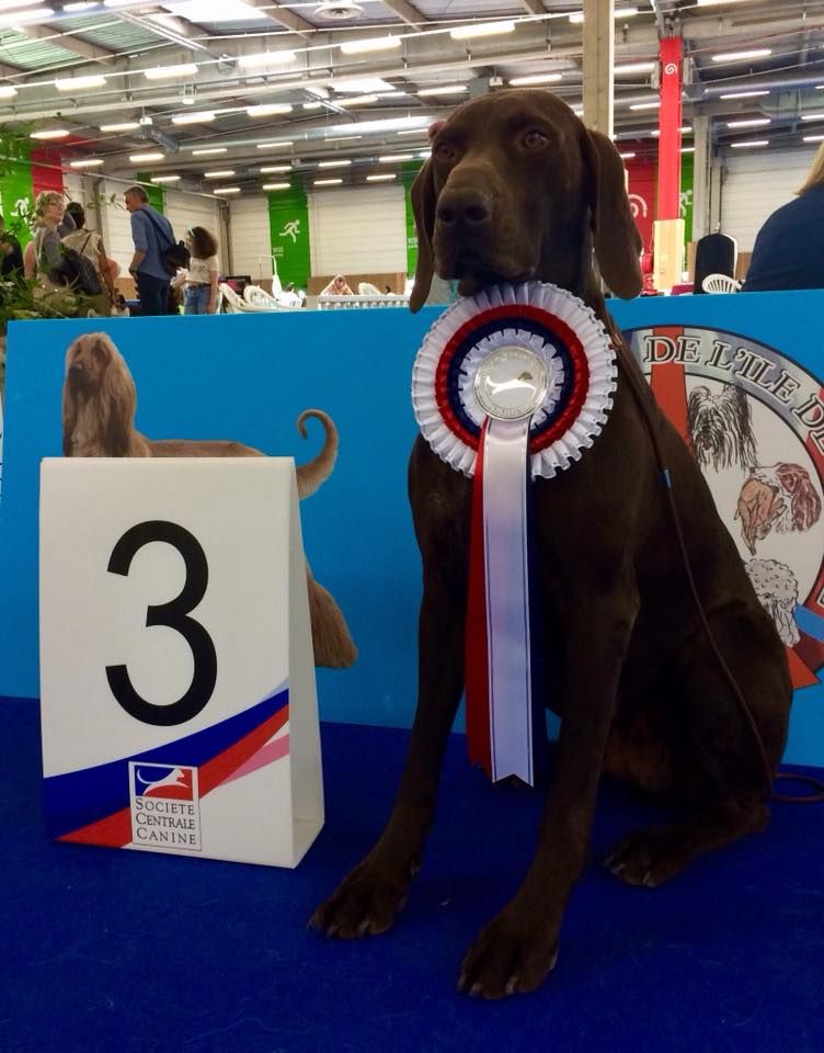 De La Plaine D'herbaumé - 140ème CHAMPIONNAT DE FRANCE !!!