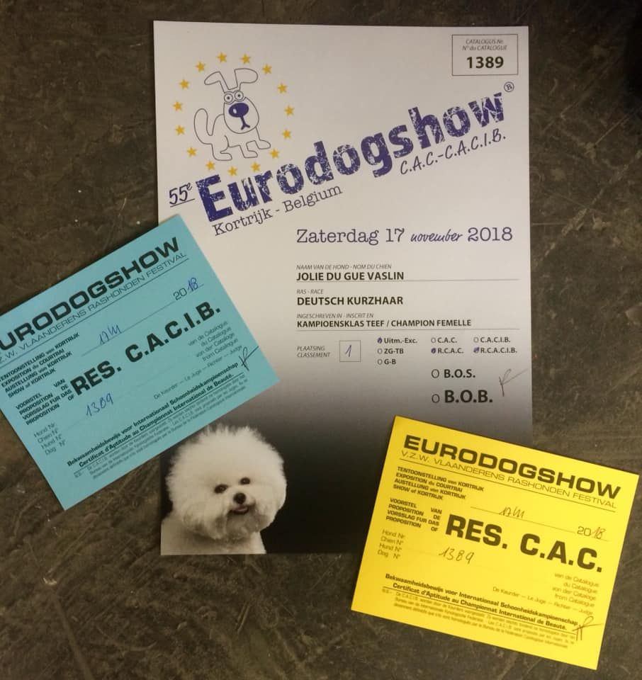 De La Plaine D'herbaumé - EURODOGSHOW DE COURTRAI !!!