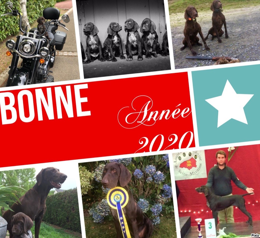 De La Plaine D'herbaumé - Bonne année 2020 !!!