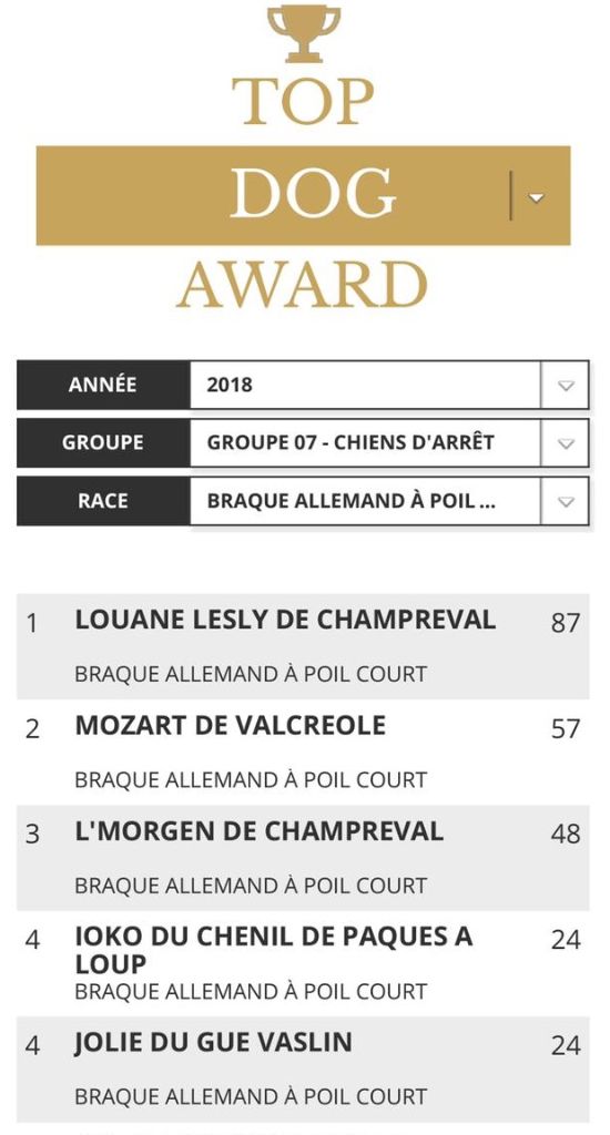 De La Plaine D'herbaumé - TOP DOG AWARD -  DOGS REVELATION 2018 !!!