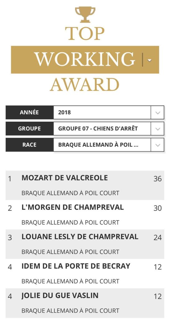 De La Plaine D'herbaumé - TOP WORKING AWARD - DOGS REVELATION 2018 !!