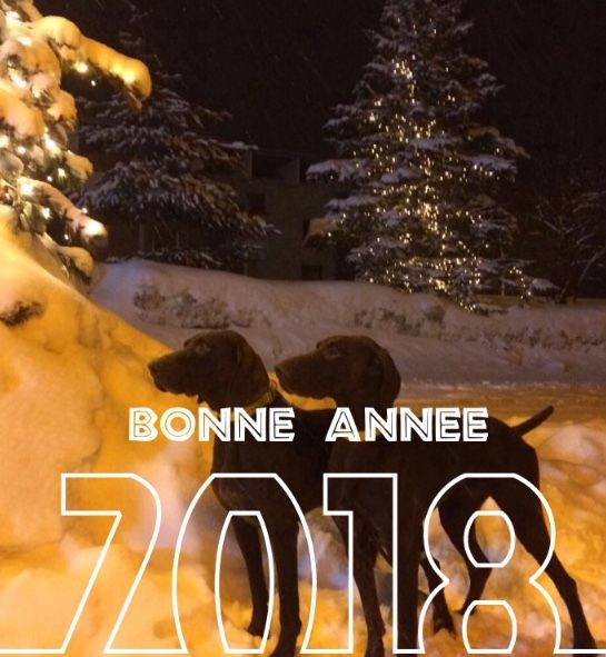 De La Plaine D'herbaumé - BONNE ANNÉE 2018 !!!